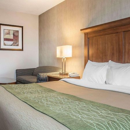 Comfort Inn Port Hope Dış mekan fotoğraf